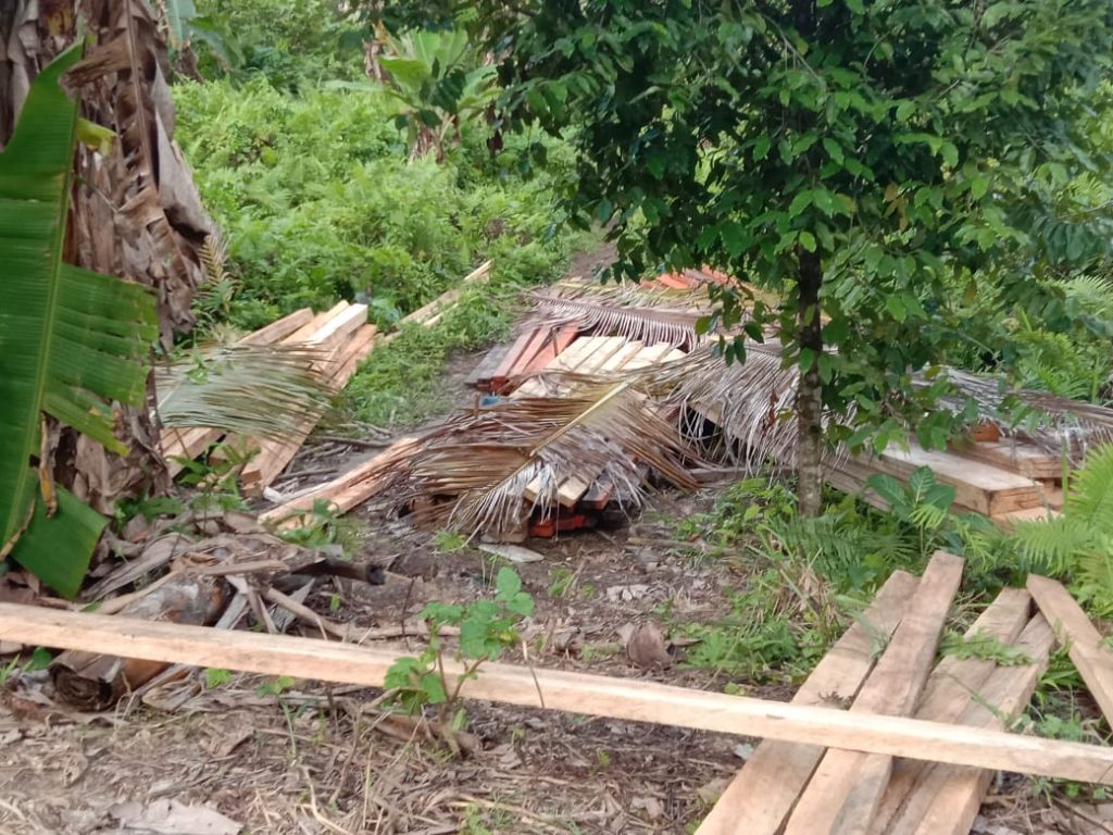 Adam Moti Gencar Lakukan Aksi Ilegal Logging di Wilayah Halteng