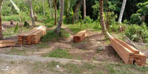 Aktivitas Ilegal Logging Meningkat, Dishut Abaikan UU Nomor 18 Tahun 2013
