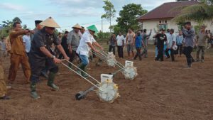 Tingkatkan Kesejahteraan Petani, Bupati dan Wabup Halteng Tanam Jagung