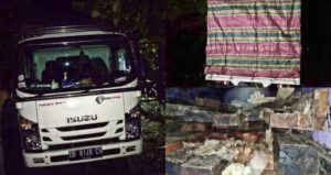 Rakyat Gempur Oknum Aparat dan KPH Busuk, Tuding Krimum Polda Malut Berkhianat Lindungi Mafia Kayu