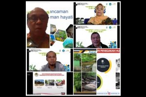 Peduli Hutan, FWI dan Mongabay Kerja Sama dengan UNPATTI Ambon Gelar Diskusi Virtual