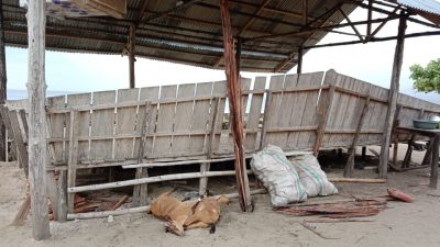 Meninggal Dunia Akibat Main HP saat Cuaca Buruk