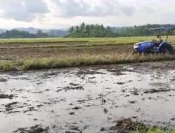 Cegah Inflasi, Dinas Pertanian Siapkan 100 Hektar Lahan 