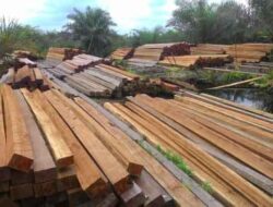 Oknum Aparat Mati karena Duit, Ikan Mati karena Umpan — Warga Gane Timur Desak Polda Kosongkan Polsek Maffa!