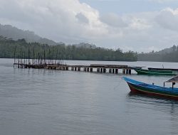 Desa Wayatim Berhasil Bangun Jembatan Laut Menggunakan Dana Desa