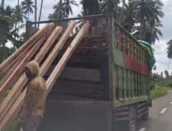 Warga Desak Bupati Bassam Kasuba Hidupkan Satgas Anti Mafia Hutan: Jika Diam, Kalian Bagian dari Kejahatan Ini