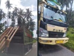 Bos Kayu Ilegal Perang Terbuka: Jaringan Pembalakan Halmahera Dibongkar