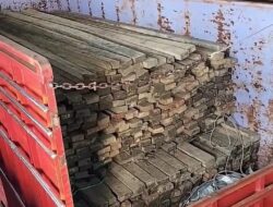 Hukum Dilecehkan! La Rani Angkut Kayu Ilegal Terbuka, Aparat Diduga Lumpuh Total