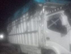 Truk Kayu Ilegal Jebol Pengawasan Polsek Gane Timur: Warga Duga Milik La Rani