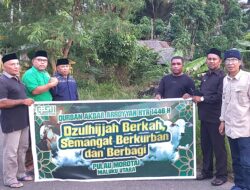 Al Jam’iyatul Washliyah Sumbang Sapi Qurban di Desa Daeo Pulau Morotai