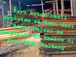 Wartawan Bongkar Dugaan Konspirasi Kayu Ilegal TSM, Libatkan Kapolsek dan UD Amelia