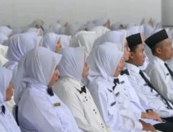PPPK Morotai lulusan Tahun 2024 Keluhkan Belum Terima SK
