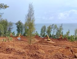 PT Karya Wijaya Nekat Tambang Ilegal di Pulau Gebe, BPK Bongkar Pelanggaran Berat