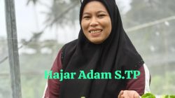Kala Langit Memanas dan Angin Berubah Arah, Ketika Iklim Menentukan Makanan di Meja Kita