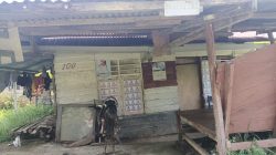 Rumah Reyot di Wale Menanti Sentuhan IMS-ADIL, Janji Pelayanan yang Tak Mengenal Sekat