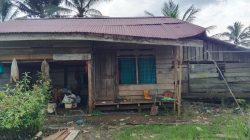 Warga Transmigrasi Wale Menanti Sentuhan Pemerintah, Jalan Rusak, Harapan Pun Retak