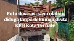Kayu Olahan Tak Berdokumen Disita, KPH Ternate Lacak Asal Balak Halbar
