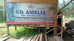 UD Amelia Sambut Positif Dishut Provinsi Malut Rekomendasikan Pengaktifan kembali SIPUHH