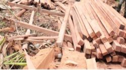 Kayu Olahan Diduga Ilegal Masuk ke Ternate-Tidore, KPH “Diam”